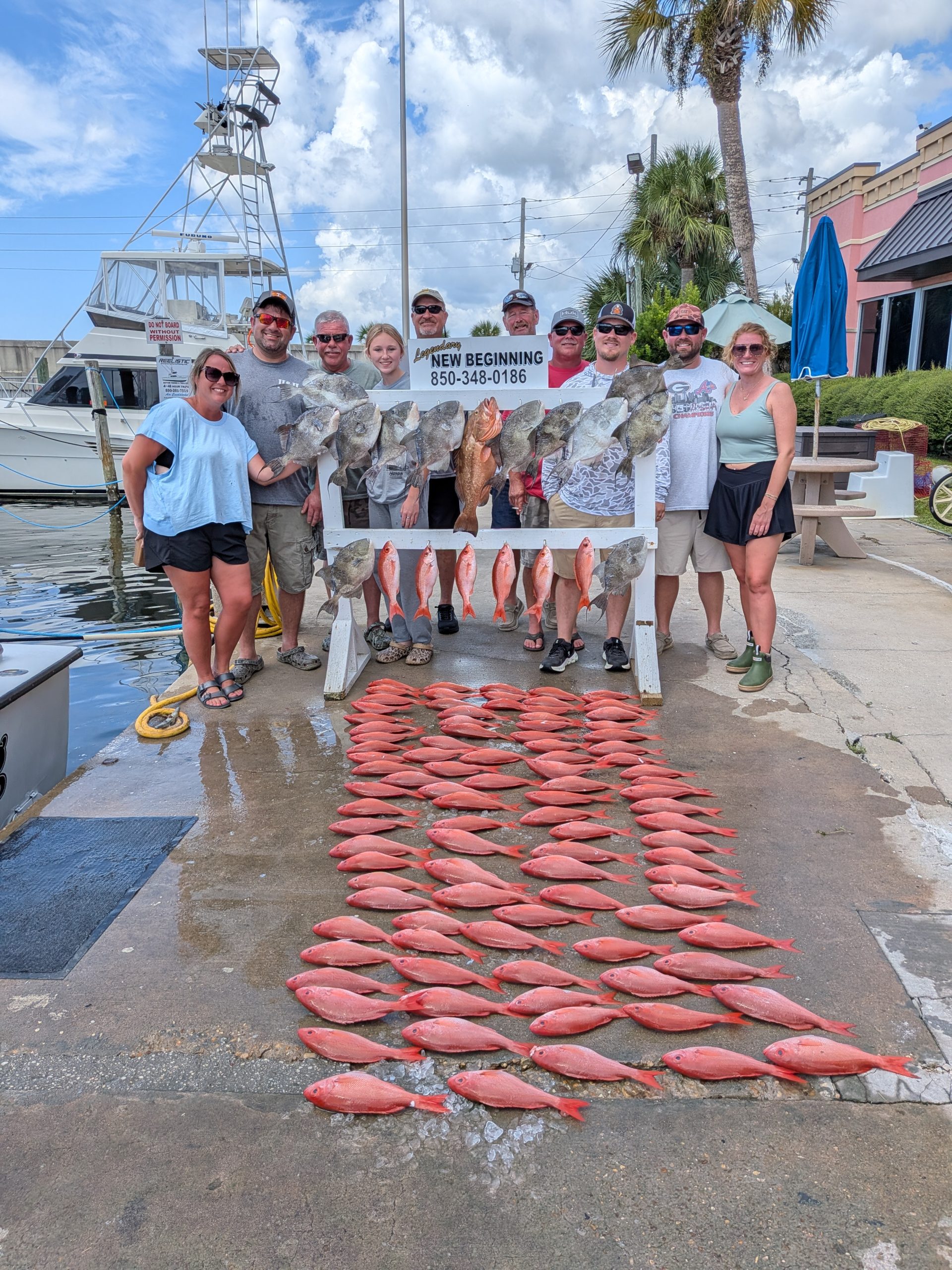 We are open for Charter